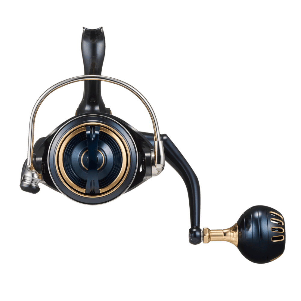Daiwa 25 Saltiga 8000-P